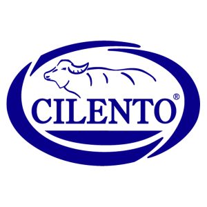 Cilento (Italy)